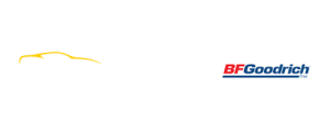 bfg_wsm_logo
